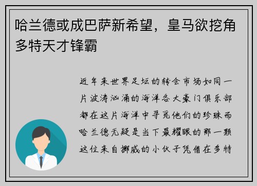 哈兰德或成巴萨新希望，皇马欲挖角多特天才锋霸