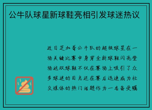公牛队球星新球鞋亮相引发球迷热议